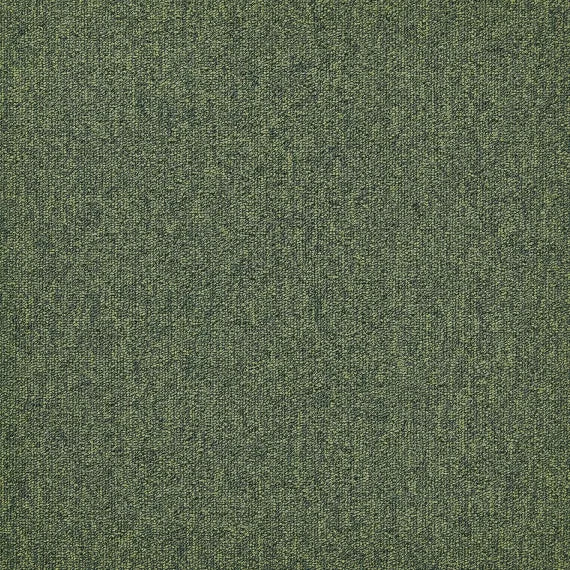 Modulyss First Forward 625