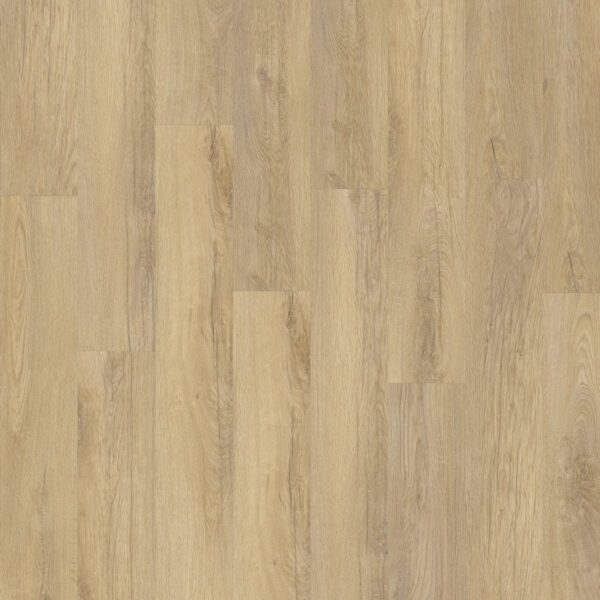 Lifestyle Elemental Click 89805