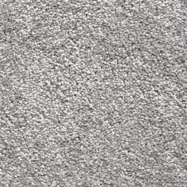 Gelasta Atlas 74 Schelp