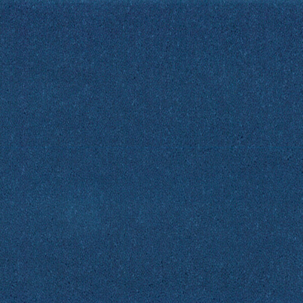 Bonaparte Montana 439
