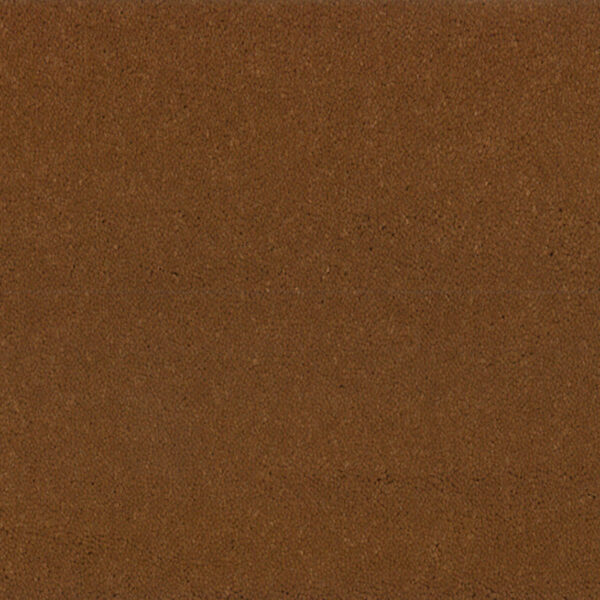 Bonaparte Montana 441