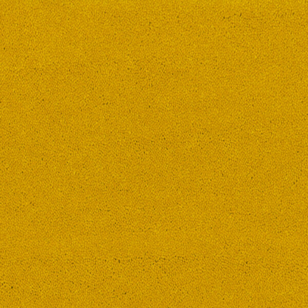 Bonaparte Montana 481
