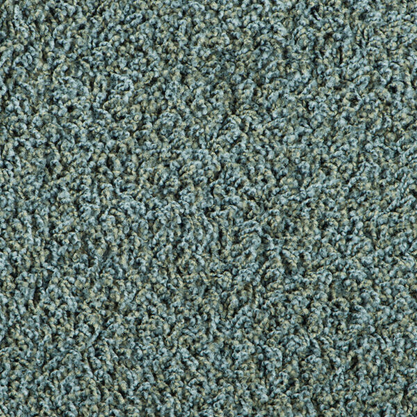 Bonaparte Vincent 221