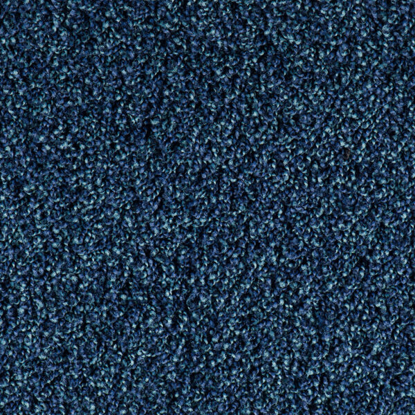Bonaparte Vincent 231