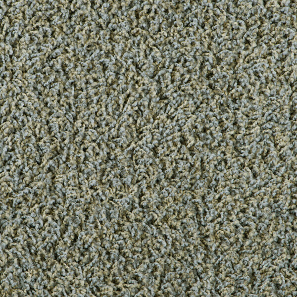 Bonaparte Vincent 291